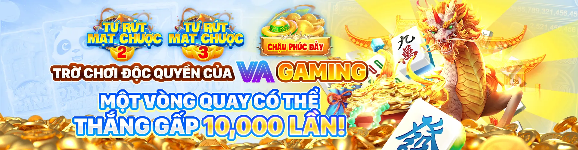 Nền tảng MMLive Hera B